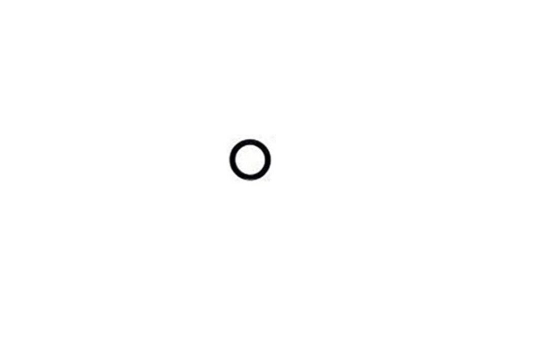 O ring